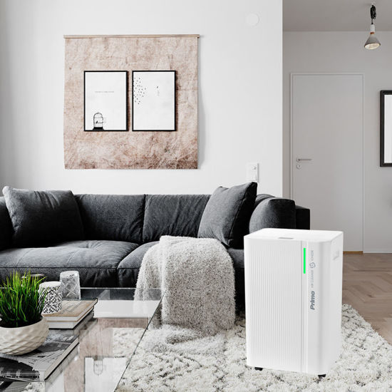 Εικόνα της Αφυγραντήρας PRDH-45021i Primo 20L Ηλ/νικός R290 Με Χρωματική 'Ενδειξη Υγρασίας + Ιονιστή + Φίλτρο Ενεργού 'Ανθρακα Λευκός