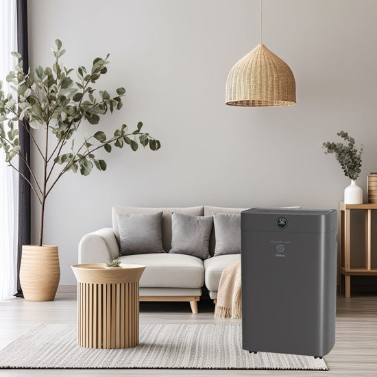 Εικόνα της Αφυγραντήρας PRDH-45022i Primo 20L Ηλ/νικός R290 Με Wifi + Χρωματική 'Ενδειξη Υγρασίας+Ιονιστή+Φίλτρο Ενεργού 'Ανθρακα Ανθρακί